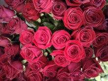 Mazzo 12 rose rosse